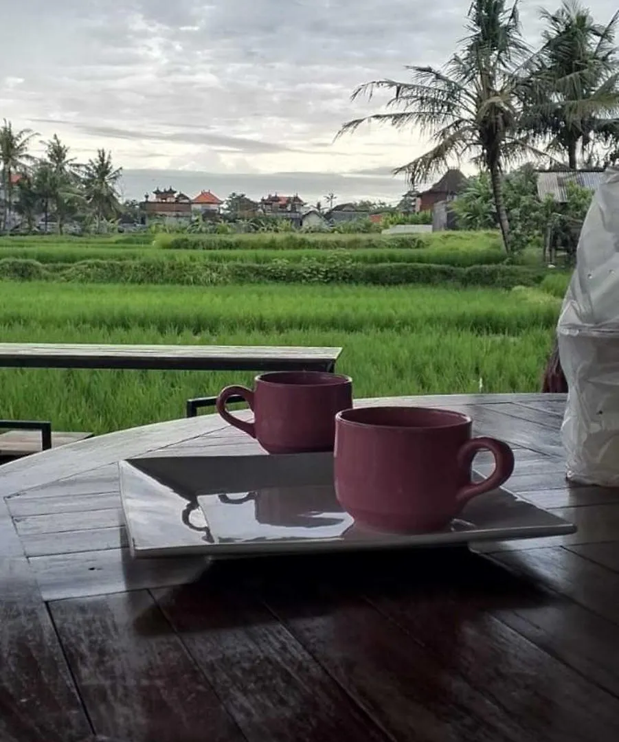 Puri Ume Dewi Deluxe Room Ubud  Indonesia