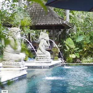 3* Resort Aura Wellness Sanctuary